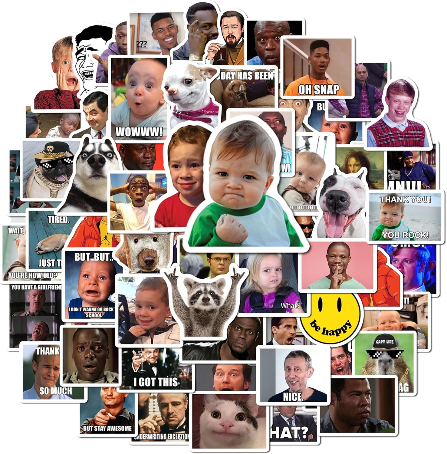 Funny Meme Stickers Pack – 24 Sheets (200+ pcs) Waterproof Vinyl Stickers for