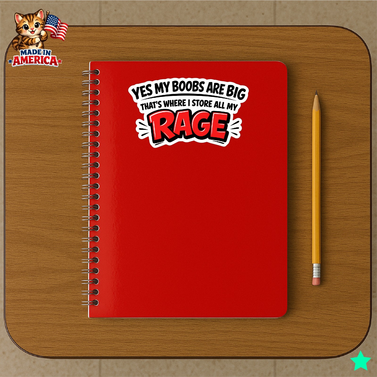 My Boobs are Big I Store My Rage Decal Sticker Funny Women Life Mom Wife Crazy