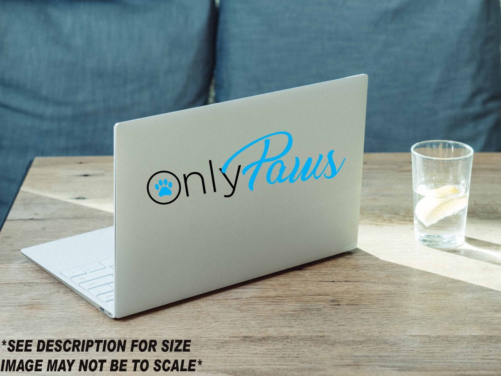 Only Paws Decal, Funny Bumper Sticker, 2 color, Onlyfans inspired logo