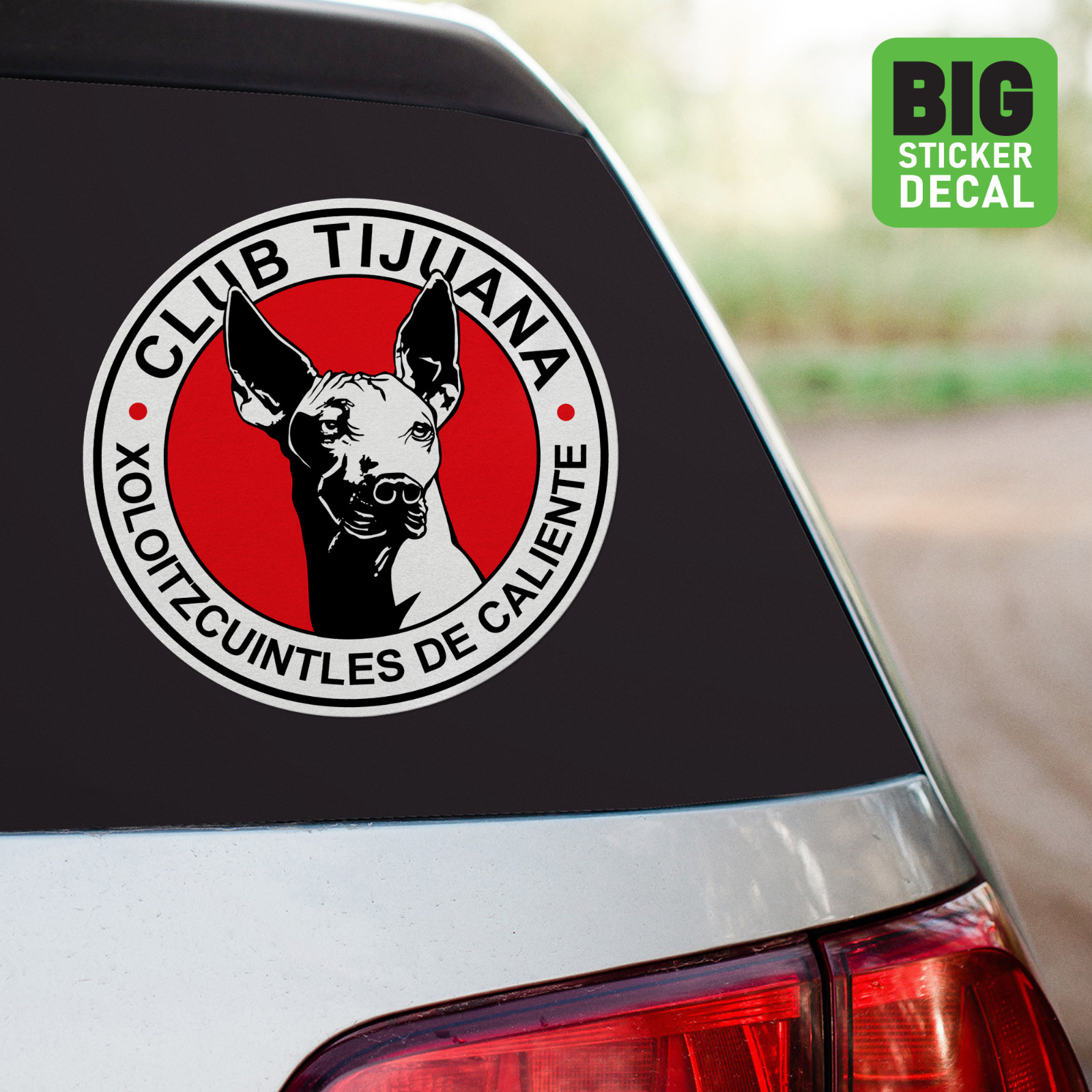 Xolos Tijuana Mexico Big Laminated Vinyl Sticker Car Decal Calcomania Carro