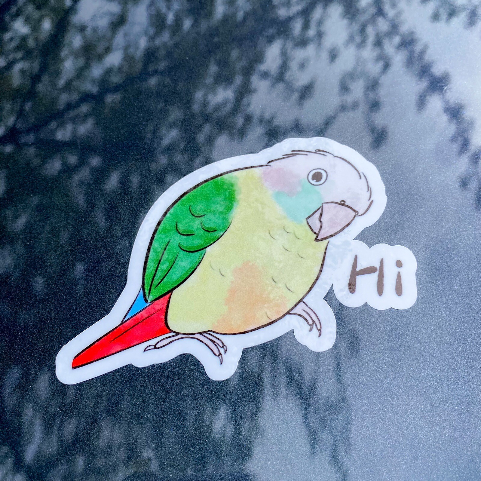 Green Cheek Conure CAR Stickers (cinnamon ) Outdoor use / UV & Water Proof