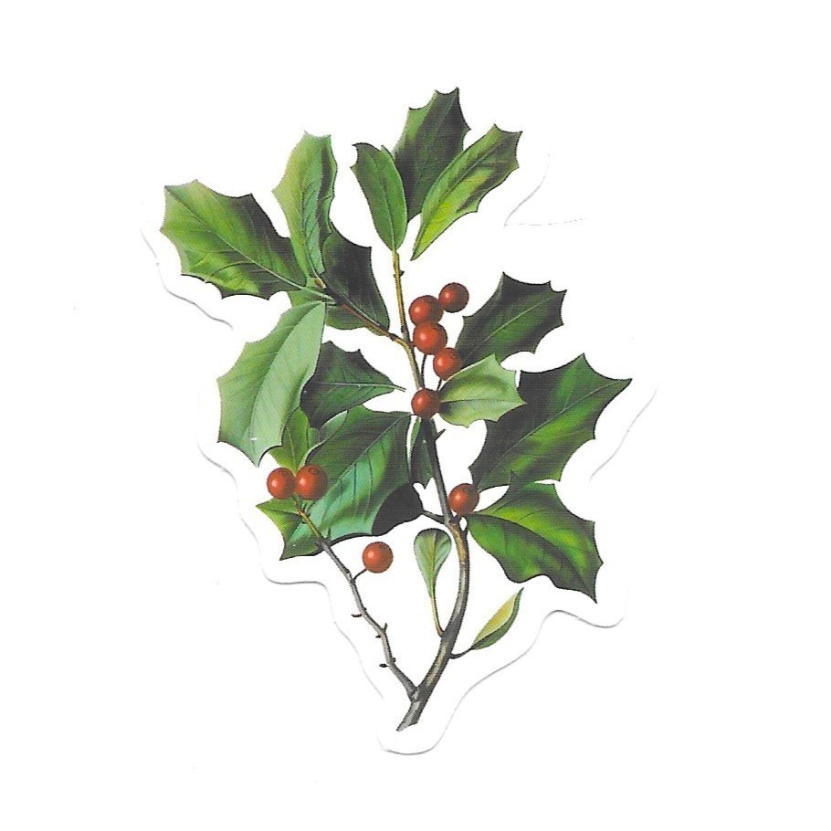 Vinyl Sticker Die Cut Holly Sprig Decal Red Berries Christmas Winter Journal