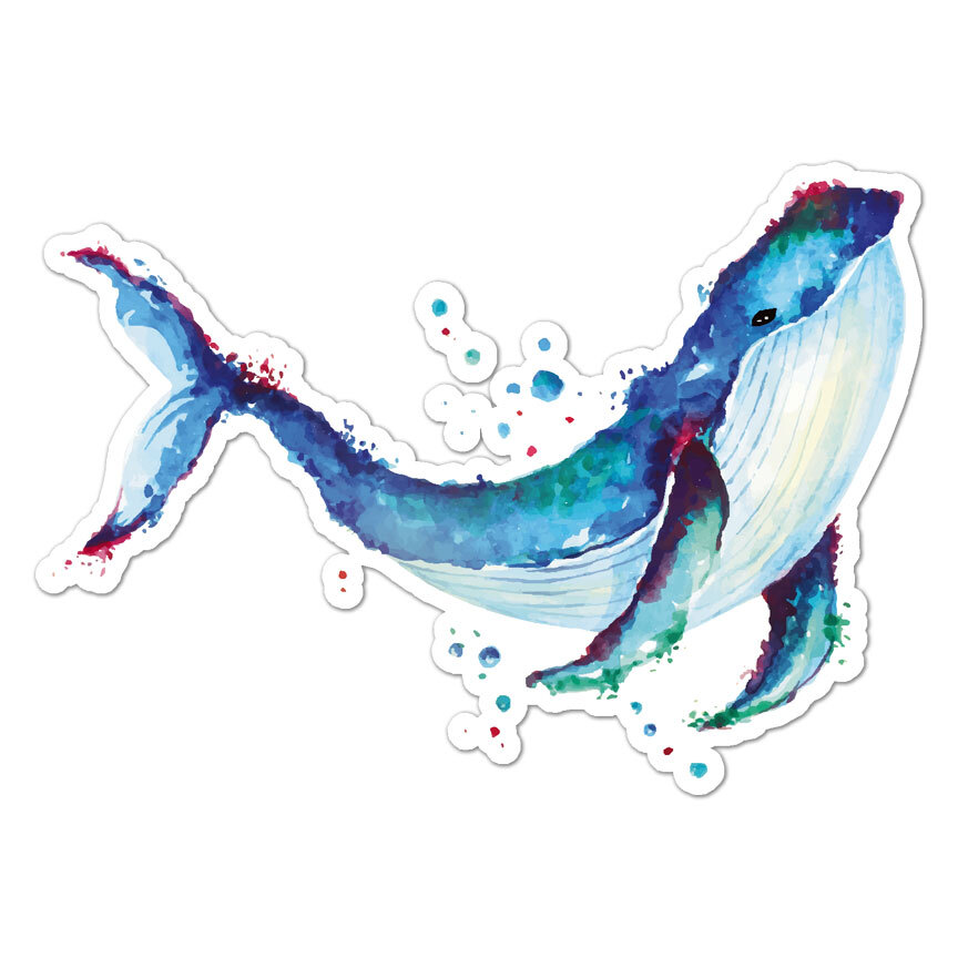 Watercolor Blue Whale, Vinyl Decal Sticker, Indoor Outdoor, 3 Sizes, #8952