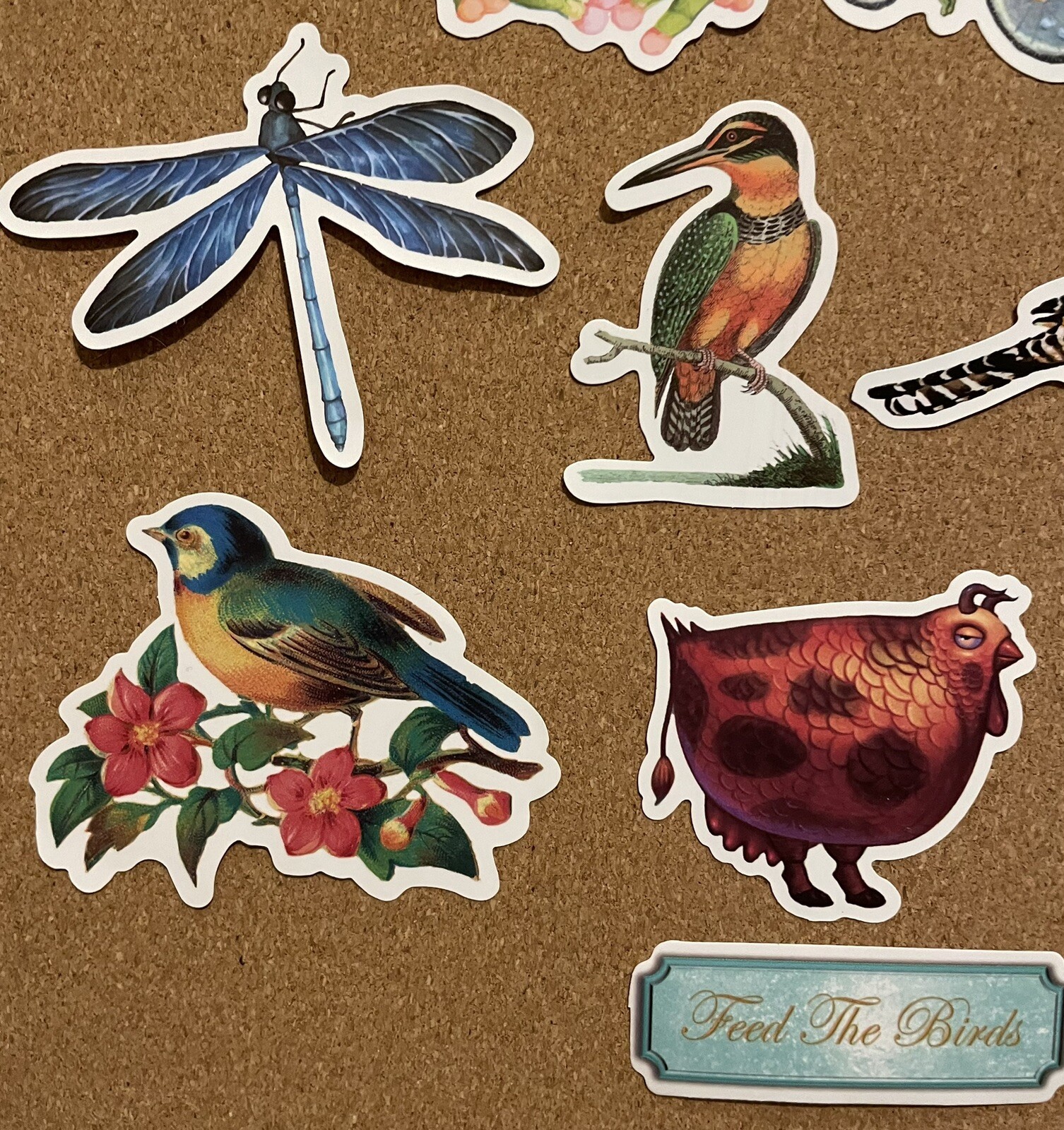 Animal Vinyl Stickers 21 Realistic & Silly Frog Toad Bird Water-Resistant Reward