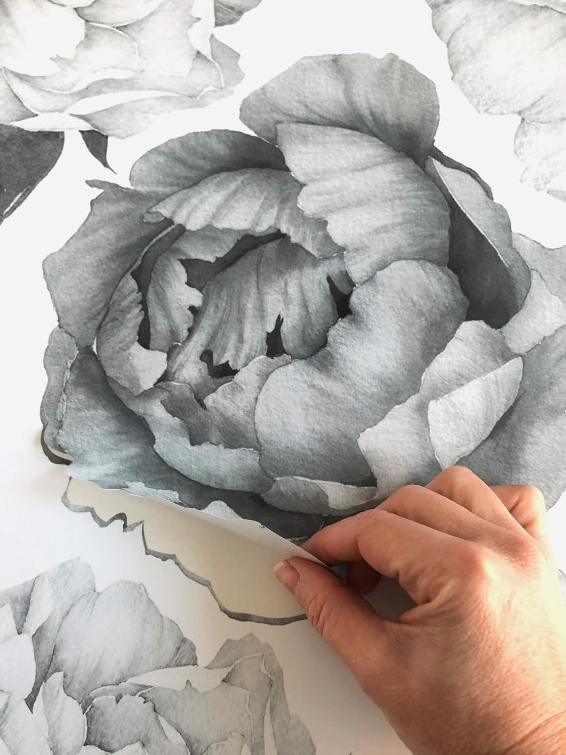 Peony Watercolor Wall Decals (Black and White Watercolor) – Flowers Decals for W