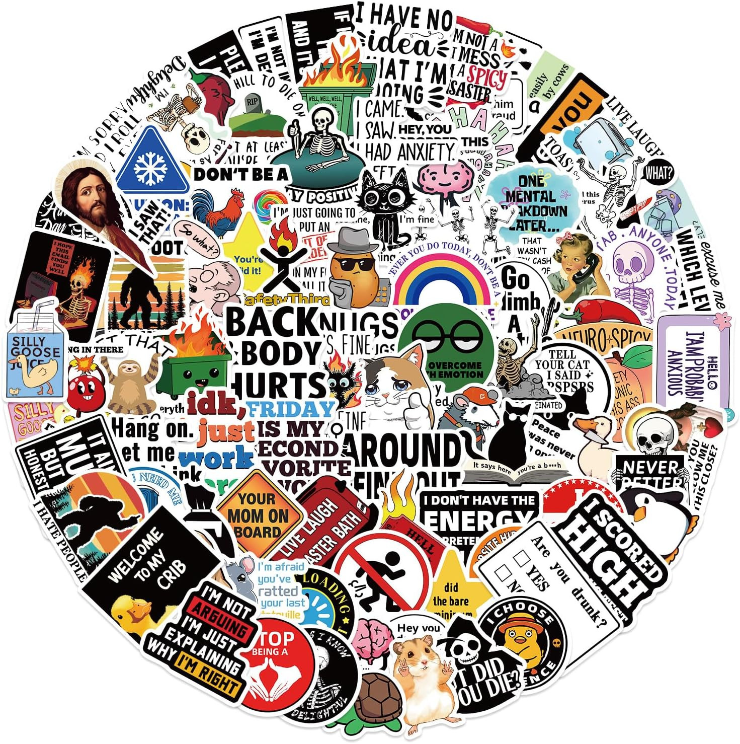 100pcs Funny Prank Meme Stickers Bulk, Snarky Meme Sticker for Kids Teens Adults