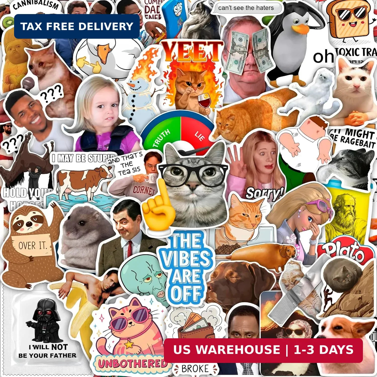 160Pcs Meme Stickers for Adults – Funny Stickers for Water Bottle, Pop Culture D
