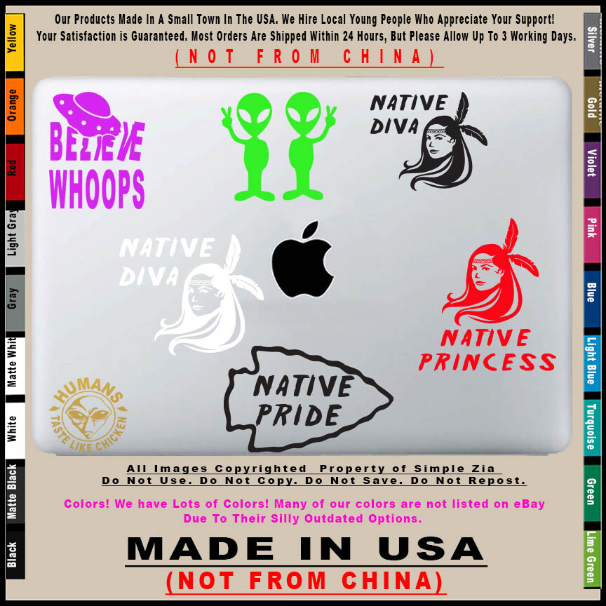 Native Princess Native American Indian sticker decal