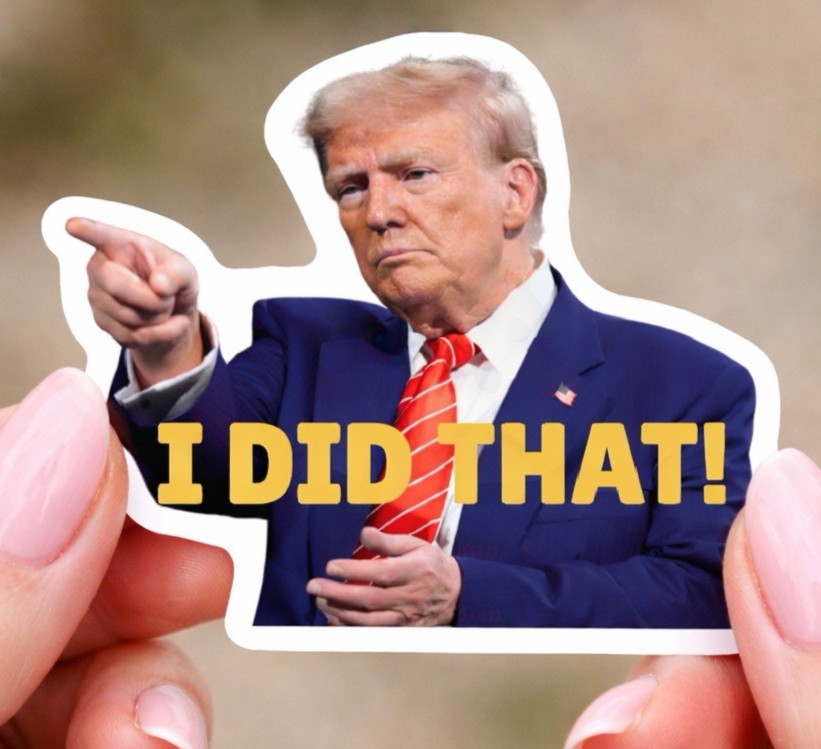 6 pc Trump I Did That Stickers, Gas Pump Stickers, High Quality Vinyl