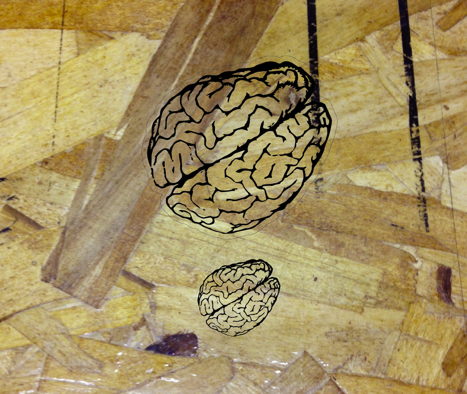Brain Clear Sticker Decal Mind Brains Smart Genious – 3.5" wide. Black and Clear