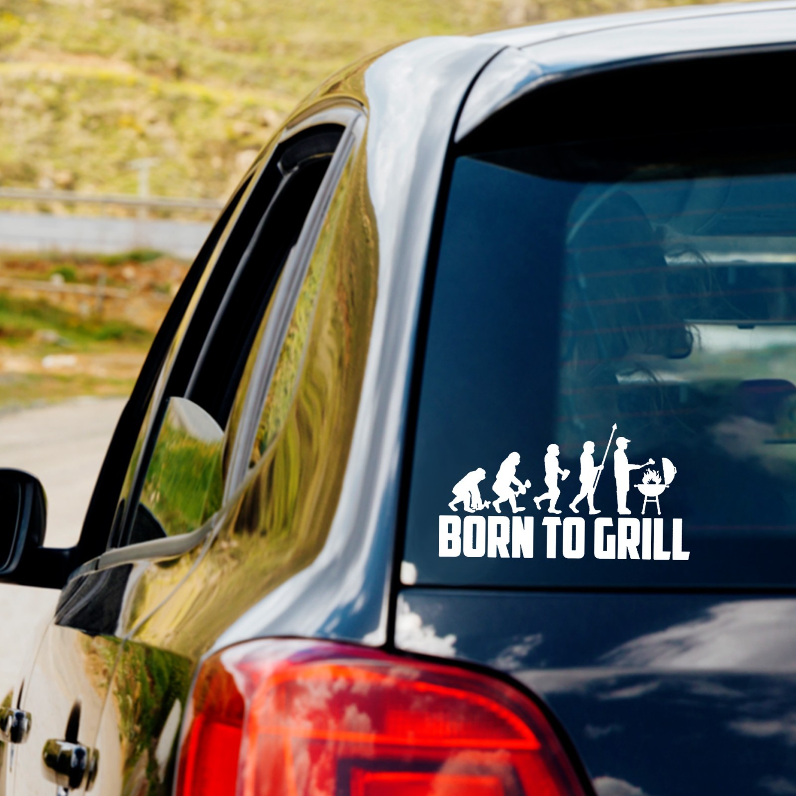 Evolution of Grilling Vinyl Decal Sticker Car Truck Window Born to Grill BBQ