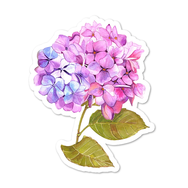 Hydrangea Vinyl Sticker, Water Resistant, Scrapbooking, Laptop, 2 Sizes