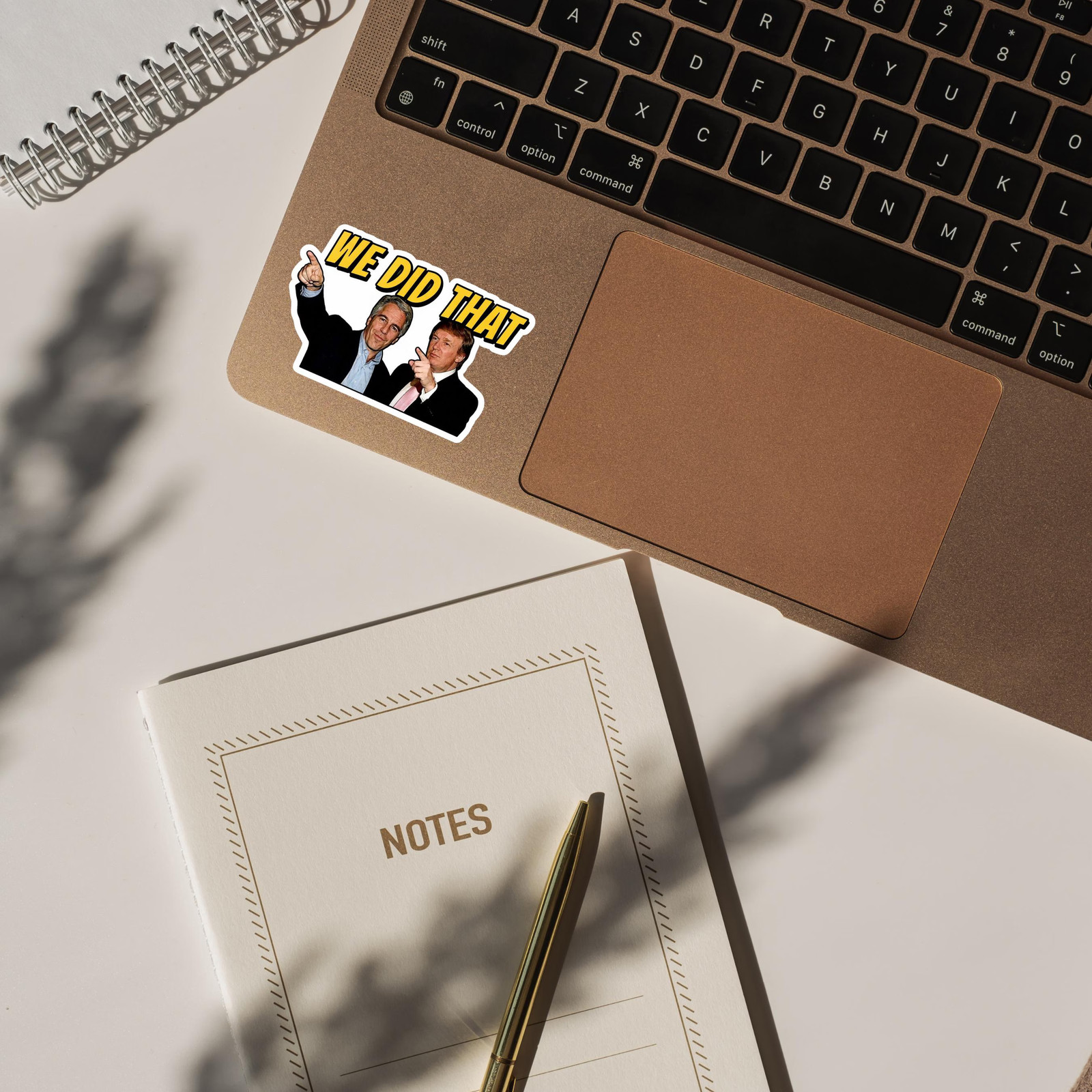 100 PCS We Did That Sticker Pack, Trump Epstein I Did That Anti-Trump Sticker,Tr