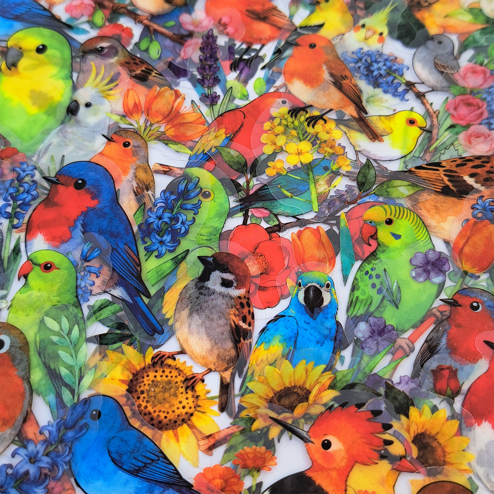 56 PCS Artistic Birds Sticker Pack Transparent Watercolor Floral Ornithology