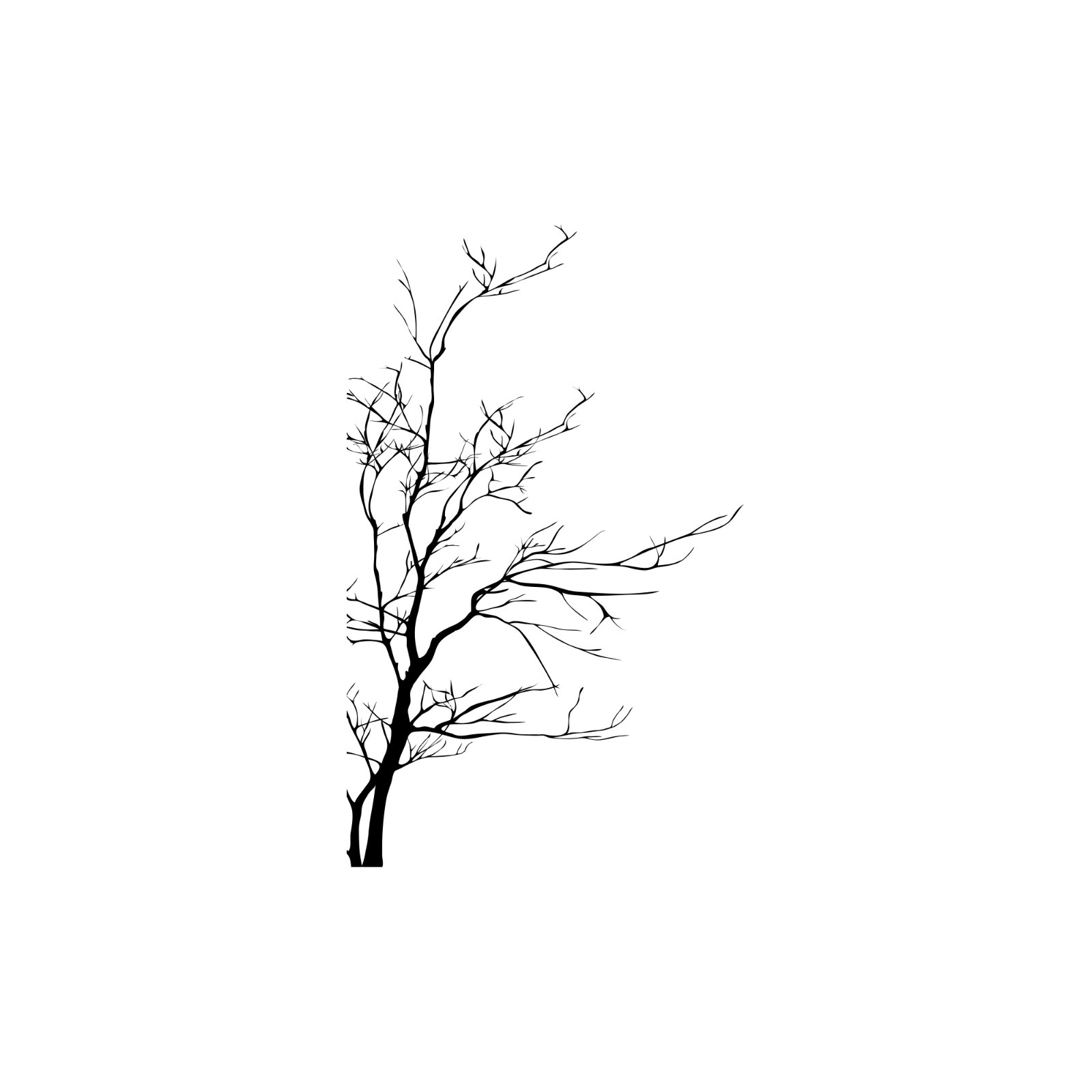 Large Bare Tree Vinyl Wall Decal Sticker. Bedroom, Bathroom Wall Art. #AC223