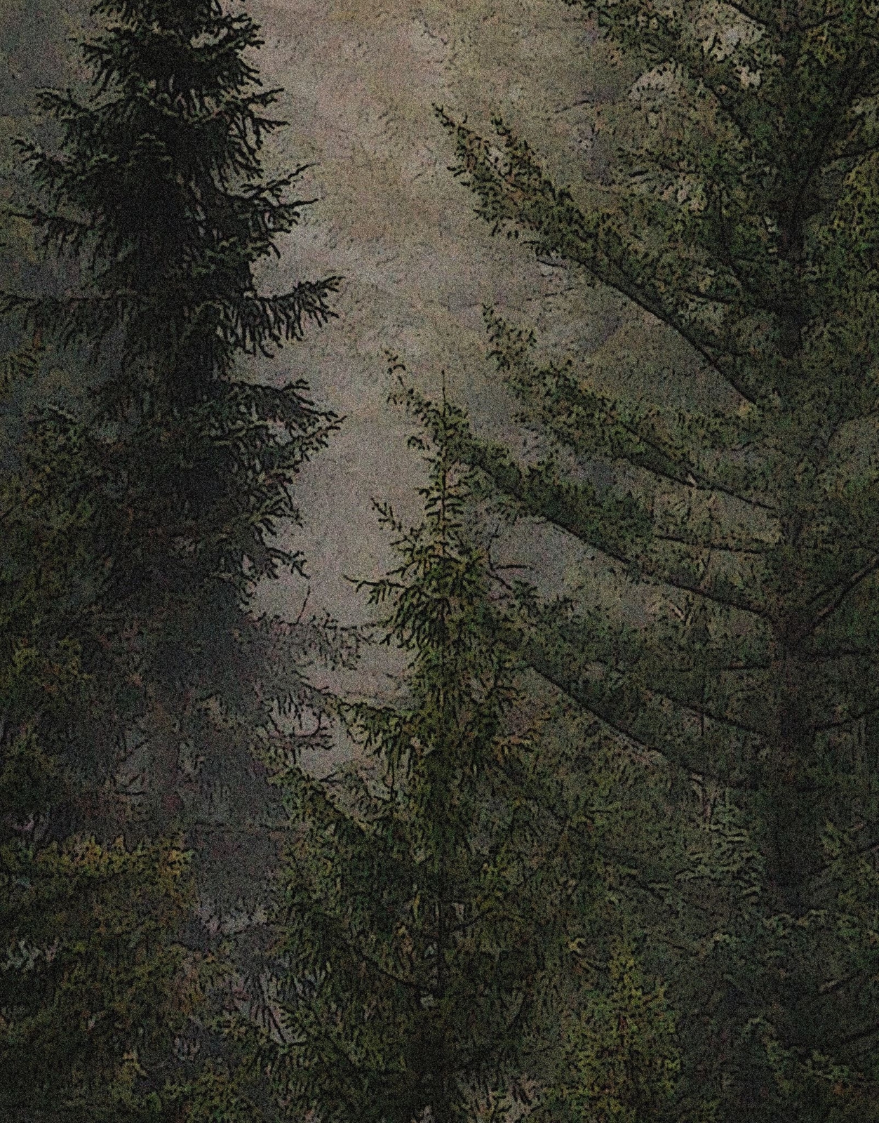 Misty Pine Tree Forest Landscape Wallpaper. Peel and Stick Wall Mural. Self Adhe