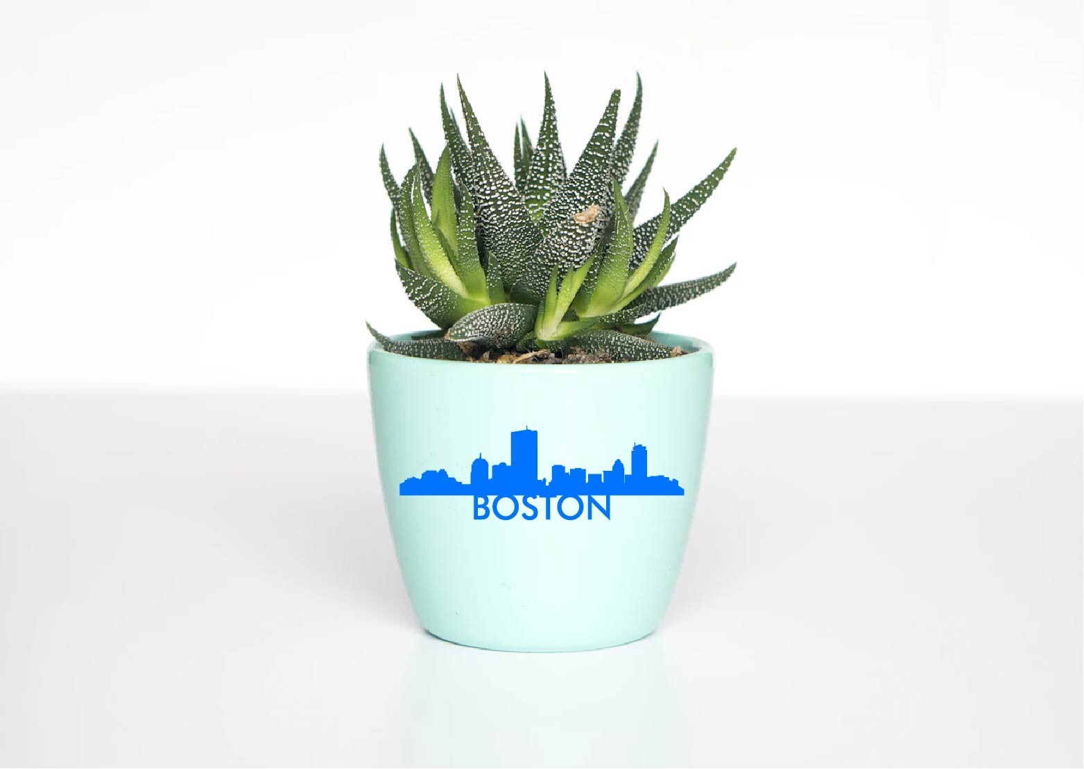 Boston Massachusetts Skyline Skyscapes City View Decal Window MA Mass Car