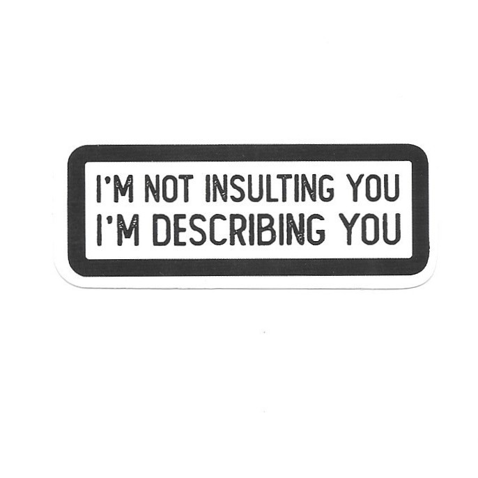 I'm Not Insulting You Im Describing You Vinyl Sticker Novelty Sarcastic Gift Art