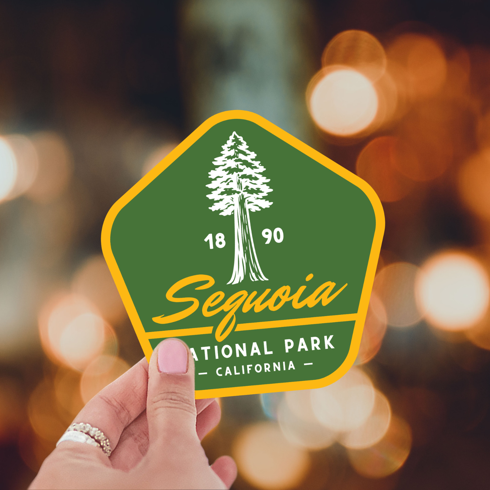Sequoia National Park Sticker Retro California Tree Travel Vinyl Decal