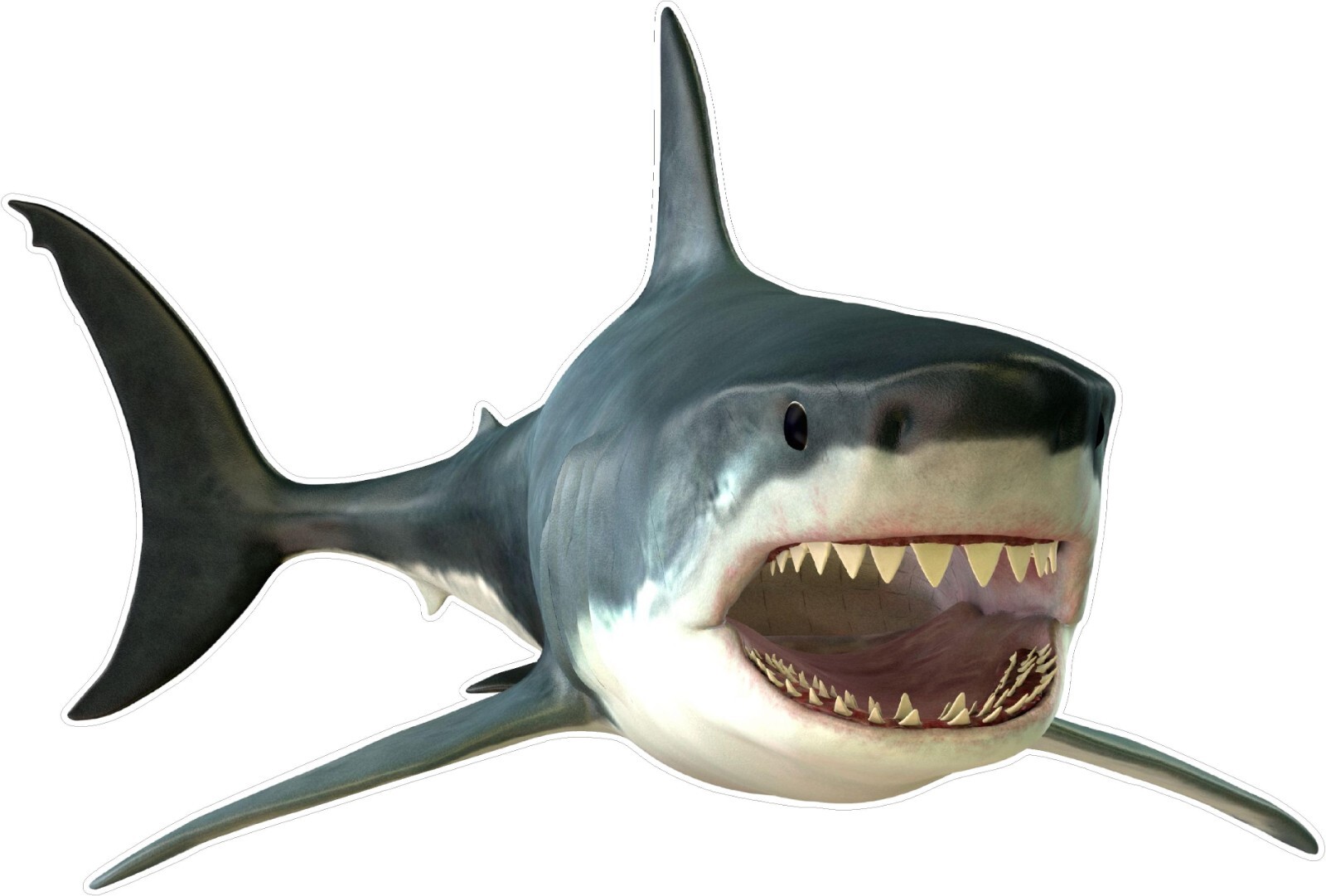 Shark Wall Sticker Kids Room Decoration or Office Smooth Surface Amazing Design