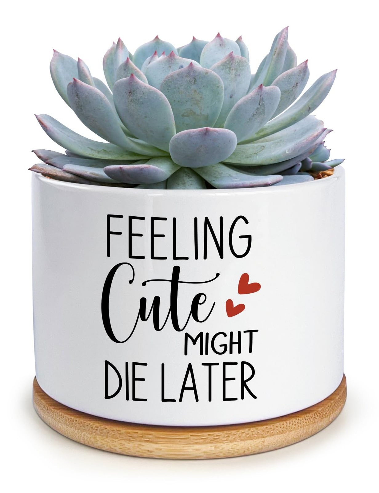 Funny Feeling Cute Might Die Later Ceramic Planter Pot for Succulent & Cactus…