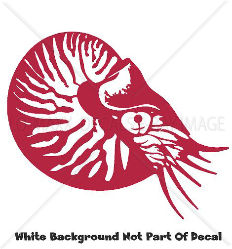 Nautilus Sea Life Contemporary Art Nature Ocean Die Cut Vinyl Decal Sticker