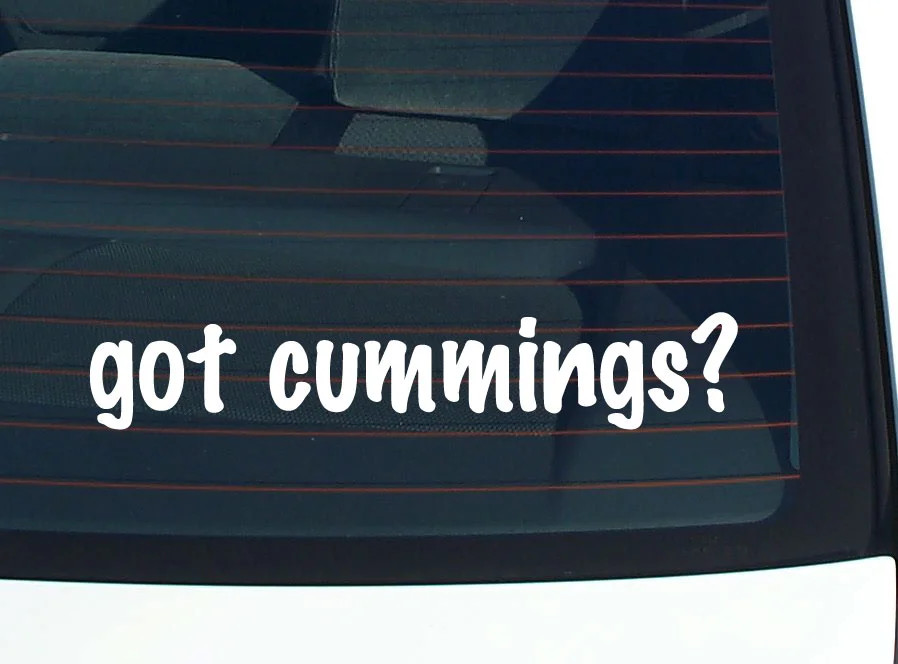 got cummings? FUNNY VINYL CAR DECAL STICKER FAMILY LAST NAME
