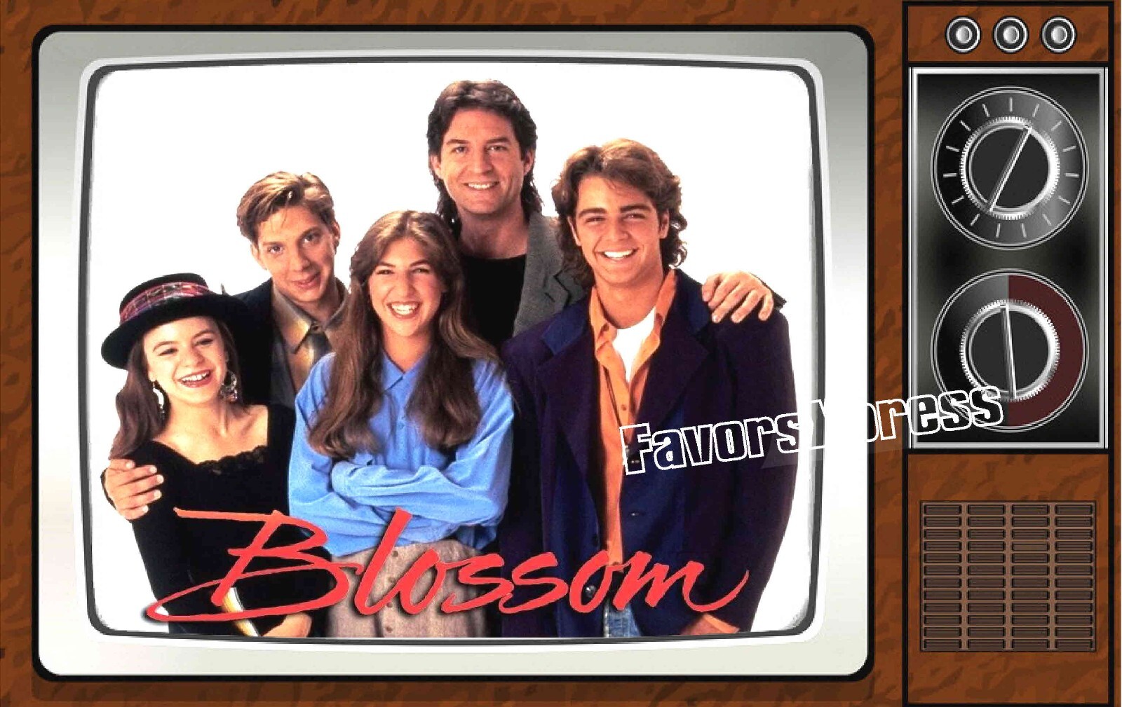 Blossom Classic TV Show PHOTO MAGNET 4 X 2.5 INCHES