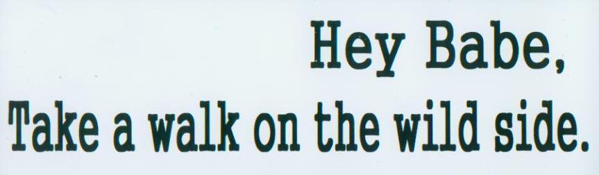 Lou Reed Fan Bumper Sticker ~ Wild Side