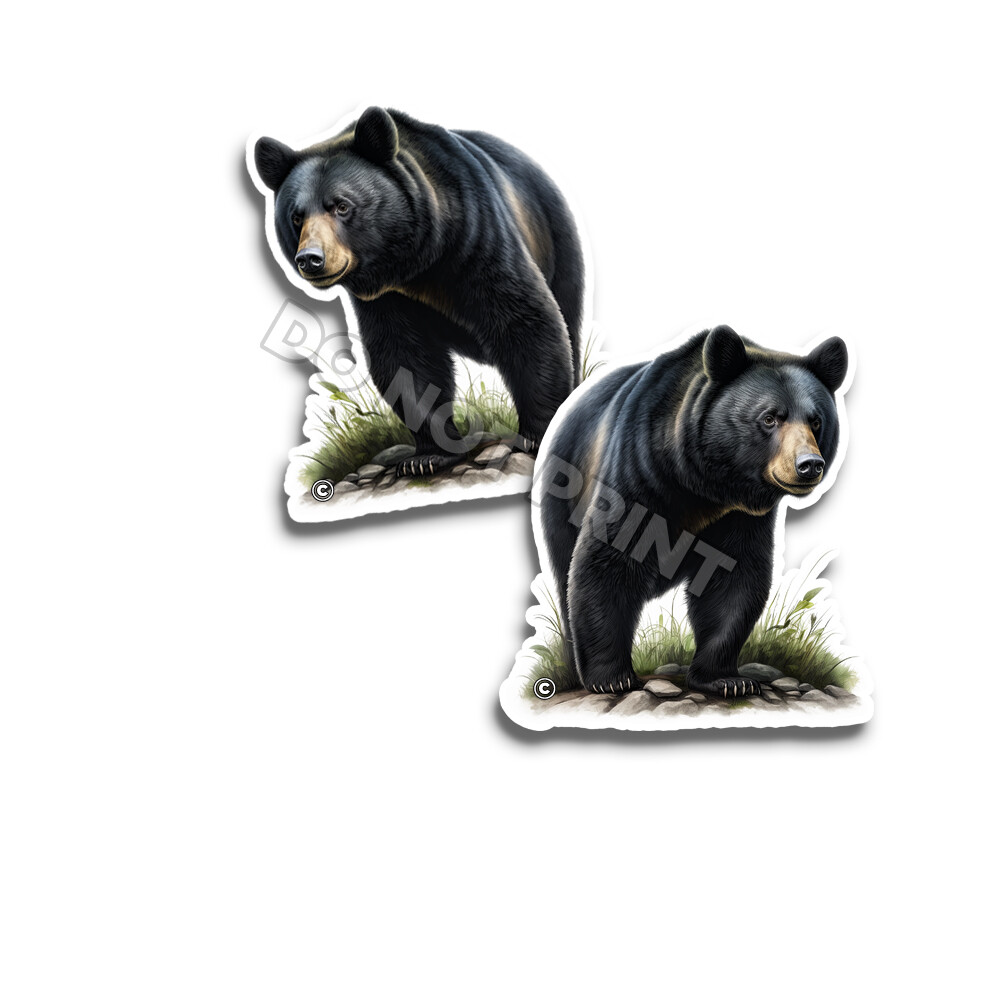 BLACK BEAR Vinyl Stickers NATURE Great Outdoors ANIMAL DECALS C35003 2 Pack