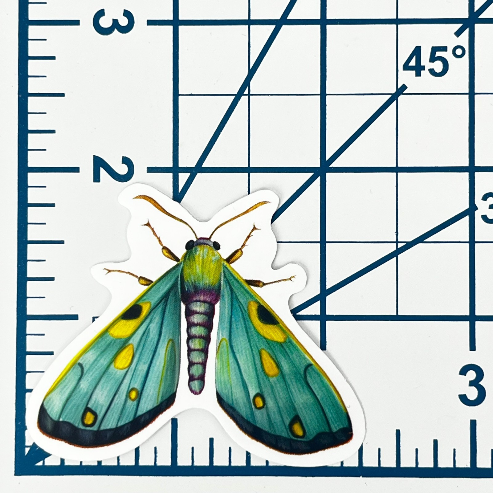 Teal Turquoise Moth Vinyl Sticker Vintage Butterfly Insect Journal Laptop Craft
