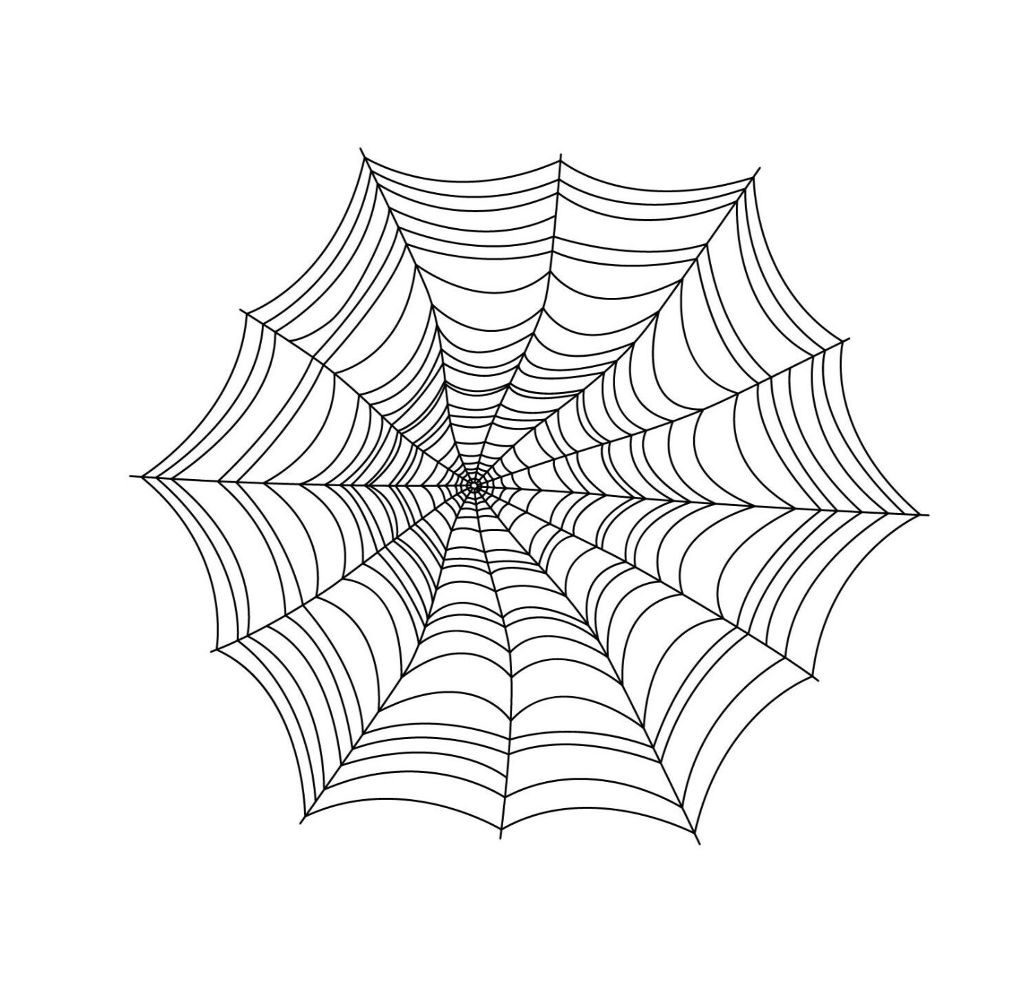 Vinyl Sticker Decal Spiderweb Large 22" x 19"