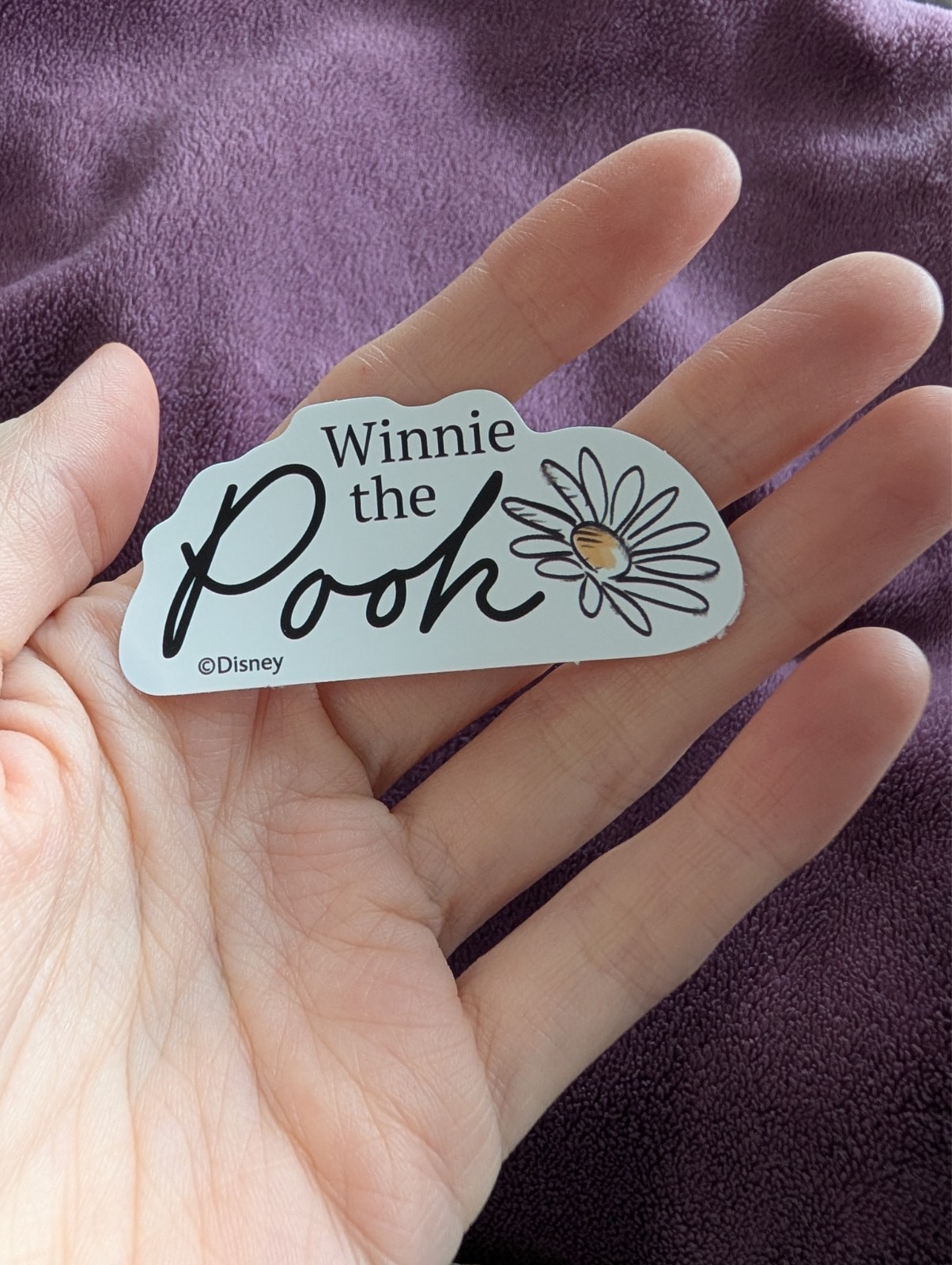 Winnie the Pooh Sticker | Whimsical Cartoon Vinyl, Text