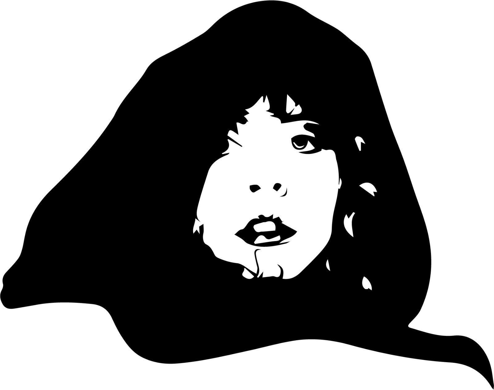 Stevie Nicks vinyl decal sticker Fleetwood Mac Classic Rock Tusk Rumors