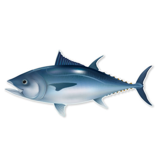Tuna Fish Fishing car bumper sticker window decal 7" x 2"