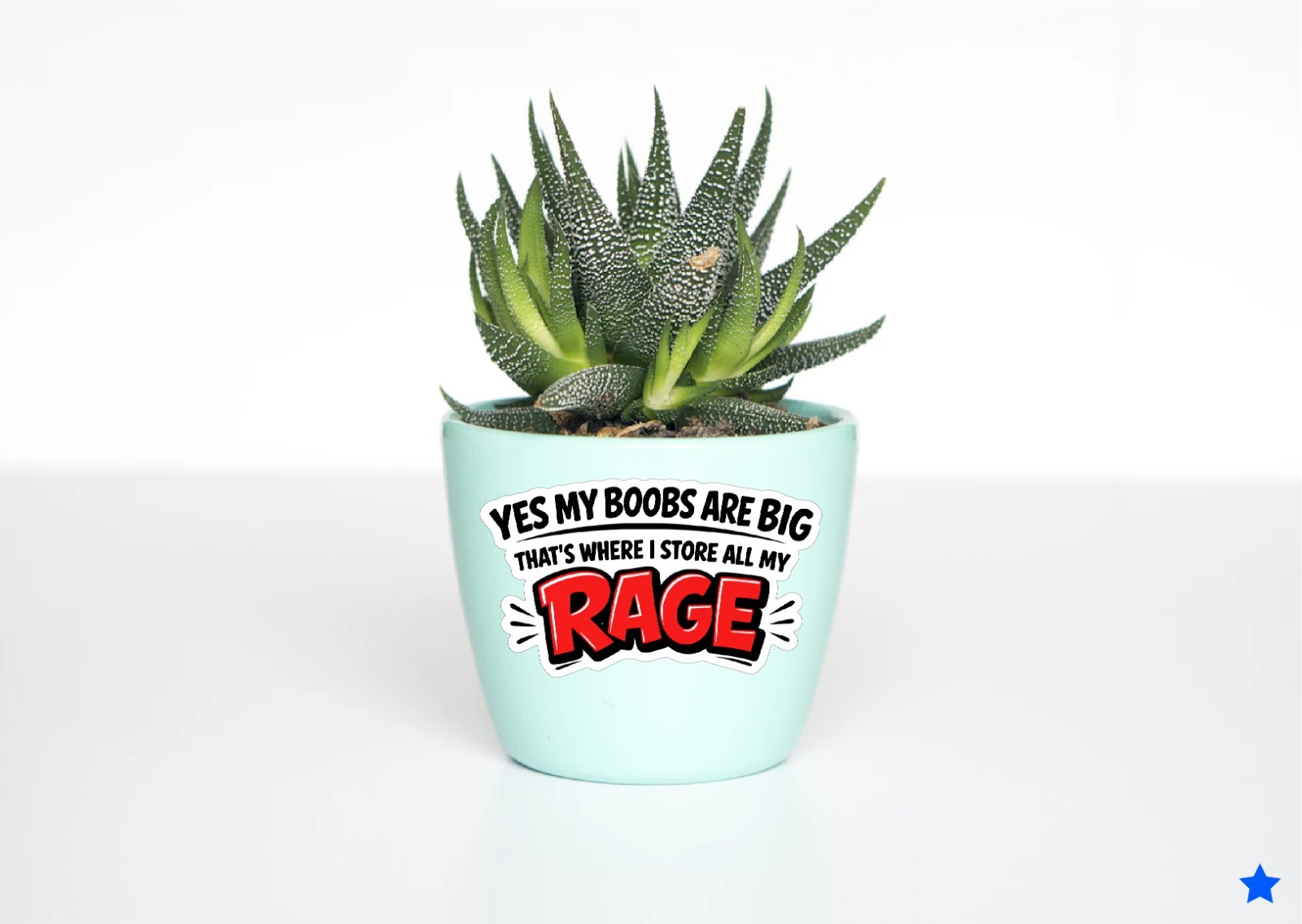 My Boobs are Big I Store My Rage Decal Sticker Funny Women Life Mom Wife Crazy