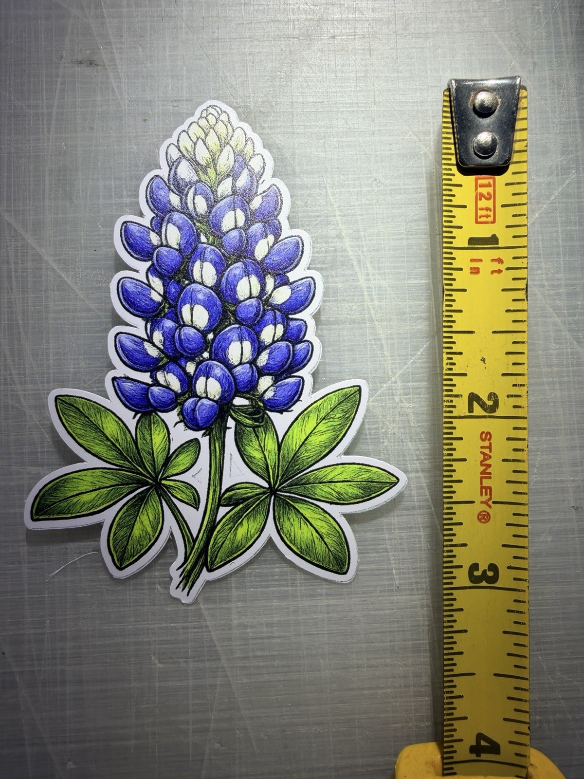 Texas Bluebonnet 2 Pack Sticker Hand Drawn Style Vinyl Decal New Free Shipping