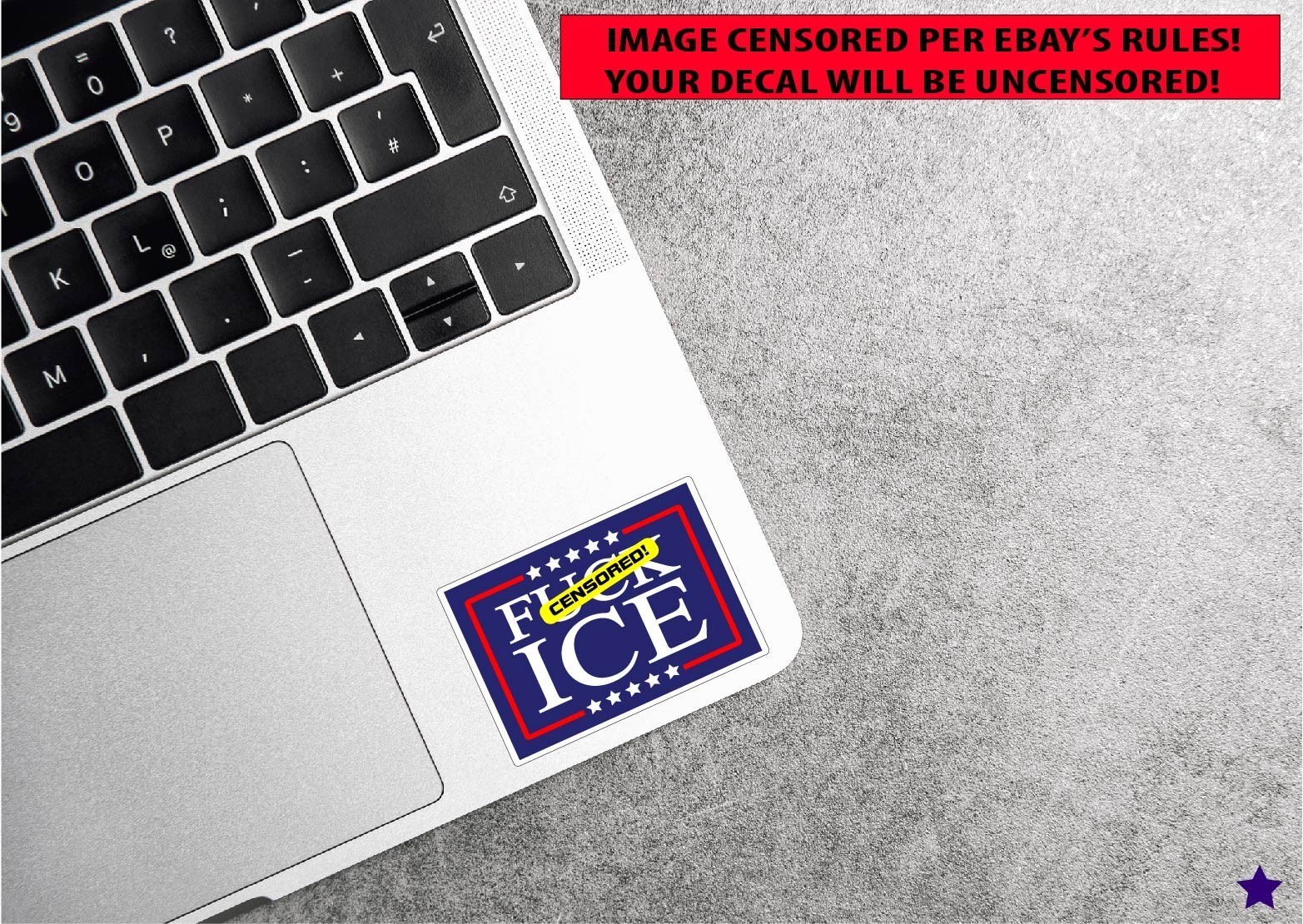 F** Ice Decal Sticker Protest MAGA Trump Anti Raids Support Immigrants Political