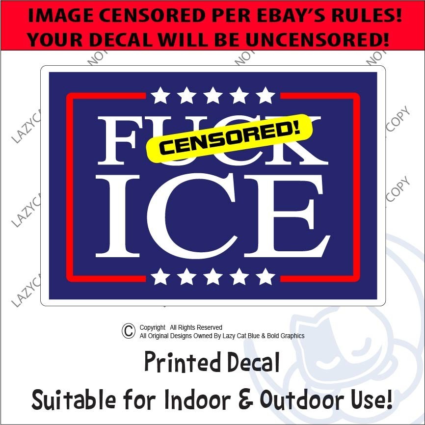 F** Ice Decal Sticker Protest MAGA Trump Anti Raids Support Immigrants Political