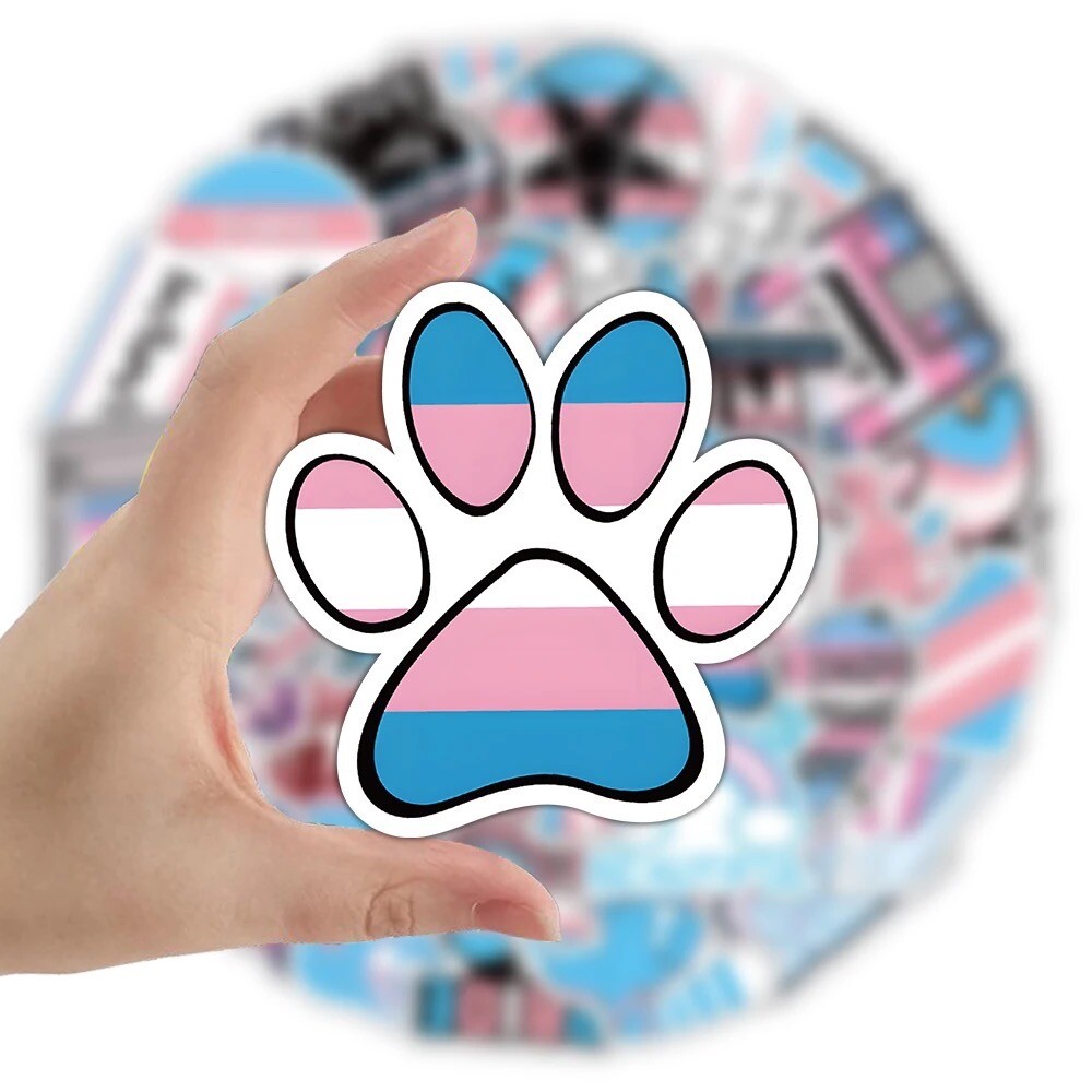 10 Random Trans Pride Sticker Set Decal Pack Laptop Car Yeti Hydro Free Shipping