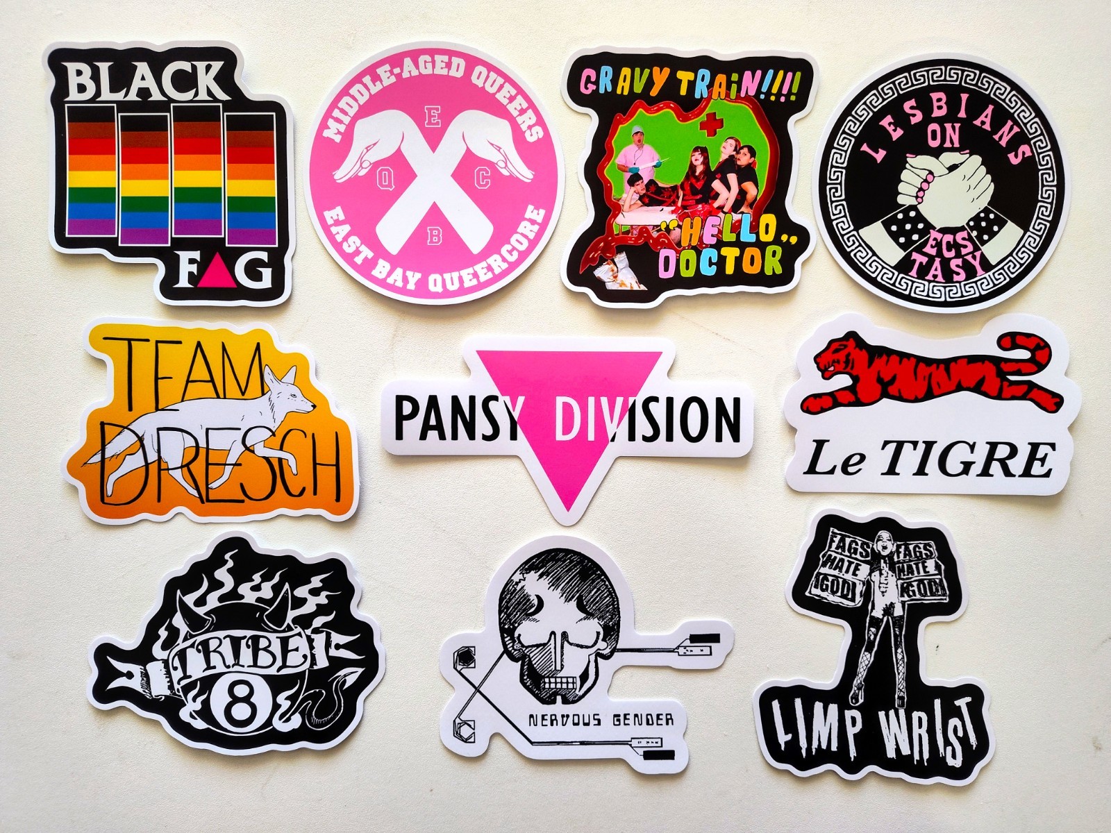 Queercore / Punk Vinyl Sticker Lot (10 Pack) SET 1 lgbtq hardcore riot grrrl gay