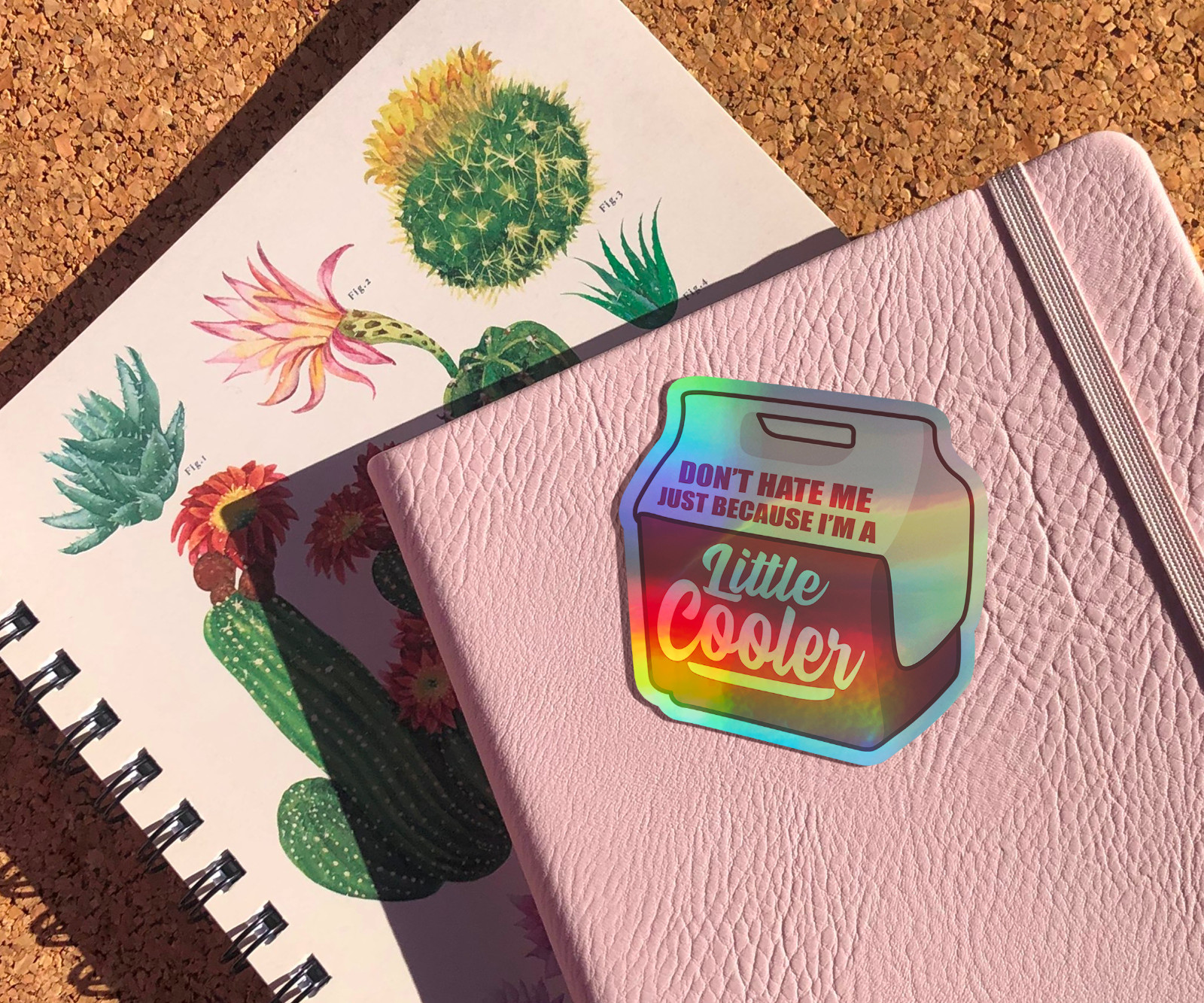 Don't Hate Me Just Because I'm A Little Cooler Holographic Sticker Funny Decal