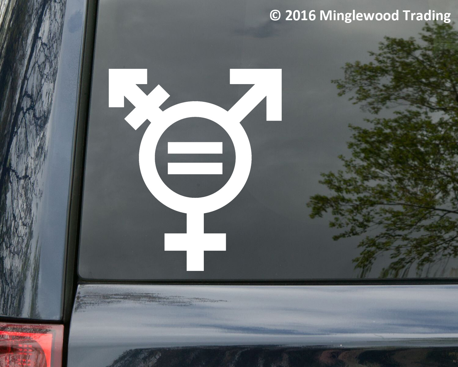 TRANSGENDER EQUALITY SYMBOL Vinyl Sticker – Gender Identity Icon – Die Cut Decal