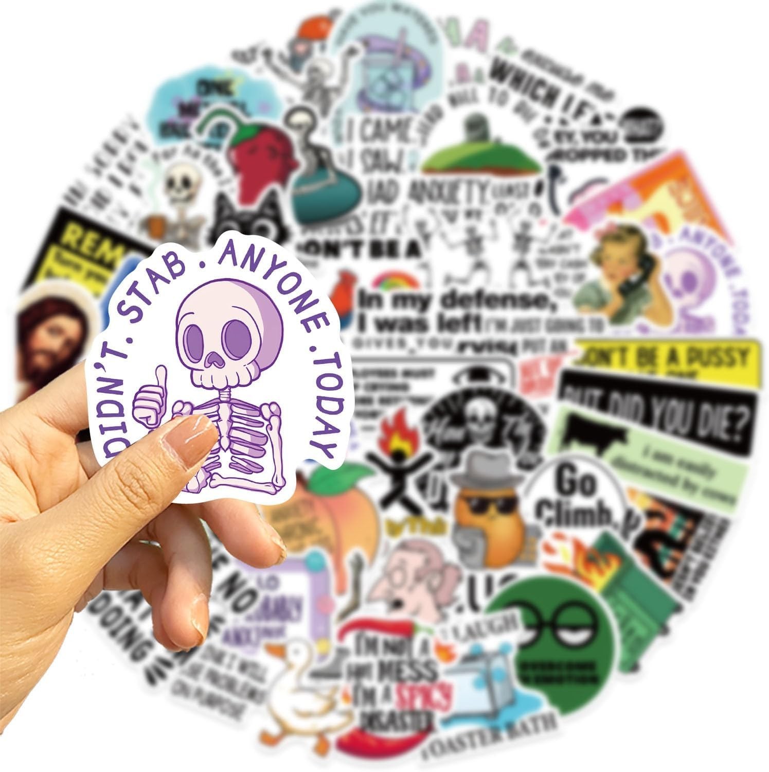 50Pcs Funny Adults Stickers Bulk, Prank Meme Sticker for Kids Teens Adults, S…