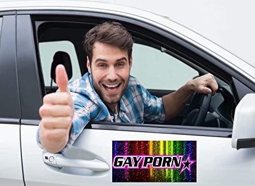 10x Gay Pride Rainbow Bumper Sticker Magnets, Reusable, 7.8"x3.1"