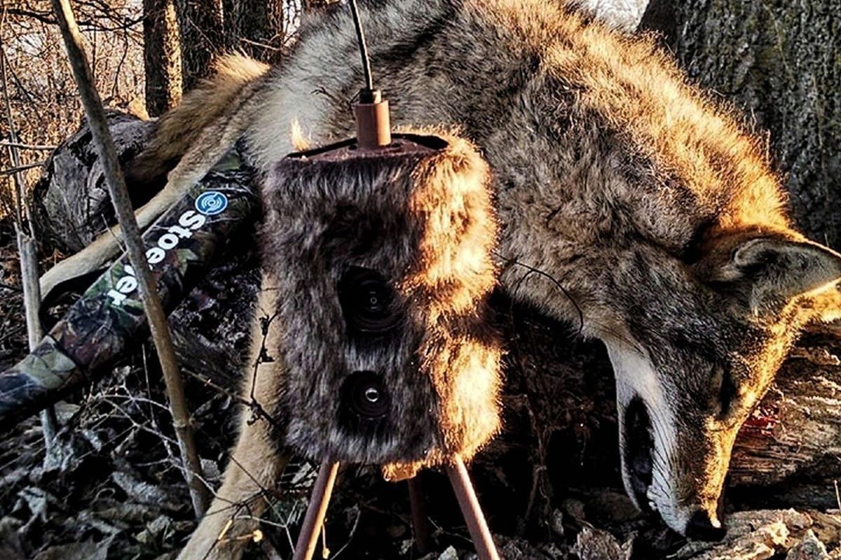 Outdoors Critter Predator Hunting Decoy – Great One Size, Super