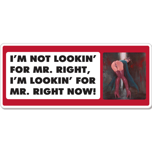 Looking for Mister Right Now car bumper sticker decal 8" x 3"