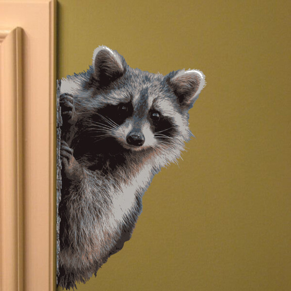 Raccoon Peering Around Wall Decal – 11" tall x 7" wide