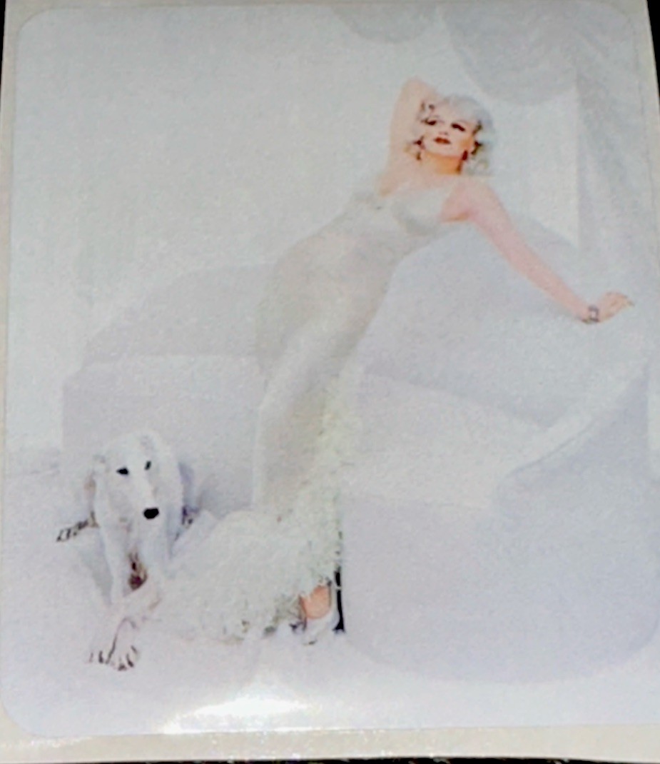 MARILYN MONROE STICKER✨💋✨❤️✨💋✨3 3/8” x 2 5/8”✨VINTAGE✨CUTE PUPPY🐶✨🤍✨💫