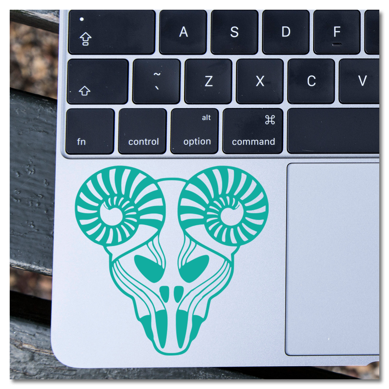6" Tenacious D The Pick of Destiny Movie Vinyl Decal Sticker